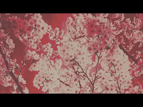 【カラオケ】拍手喝采歌合 / supercell covered by 江田骨らん【歌ってみた】