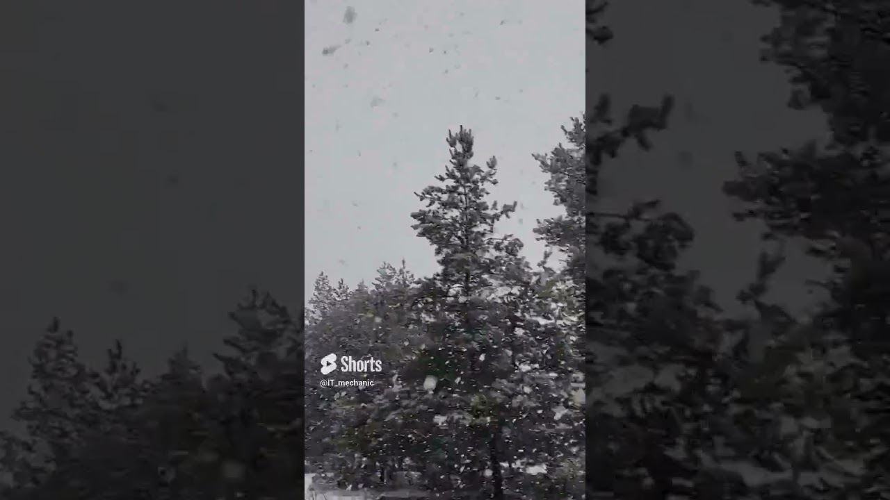 Winter hike through a snowy forest with the sound of snow crunching - Scenic Trails of Ukraine (16)