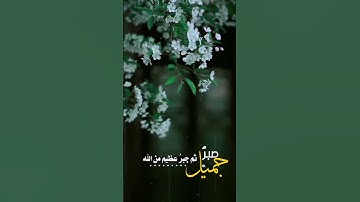 القارئ عبد الرحمن مسعد /سورة الفتح آية ٤🥀