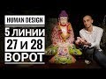 Дизайн Человека 27 и 28 ворота. 5 линии Даниил Трофимов. Human Design