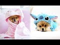 ♥Cute Puppies Doing Funny Things 2021♥ #9  Cutest Dogs