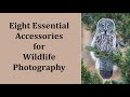 Eight Essential Accessories for Wildlife Photography