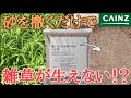 【雑草対策】カインズの撒くだけで防草できる砂は本当に雑草が生えないのか検証してみた
