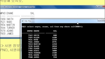7강 oracle 11g SQL where query(오라클 SQL 조건연산자)