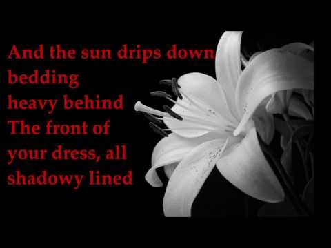 The Chauffeur - Duran Duran - lyrics