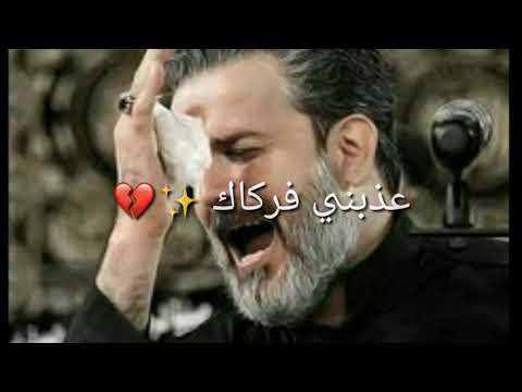 كلبي شتاگلك وبحرگه ناداك سيد فاقد بدون حقوق