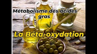 ACIDE GRAS CATABOLISME : BETA OXYDATION