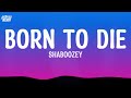 Born To Die Shaboozey Lyrics 