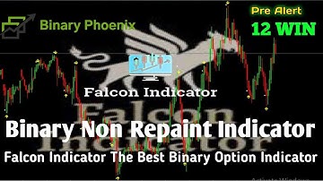 The Binary Phoenix | Best Binary Option Non Repaint Indicator | The Falcon Indicator