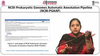 Large scale analysis of genome: Functional Genomics
