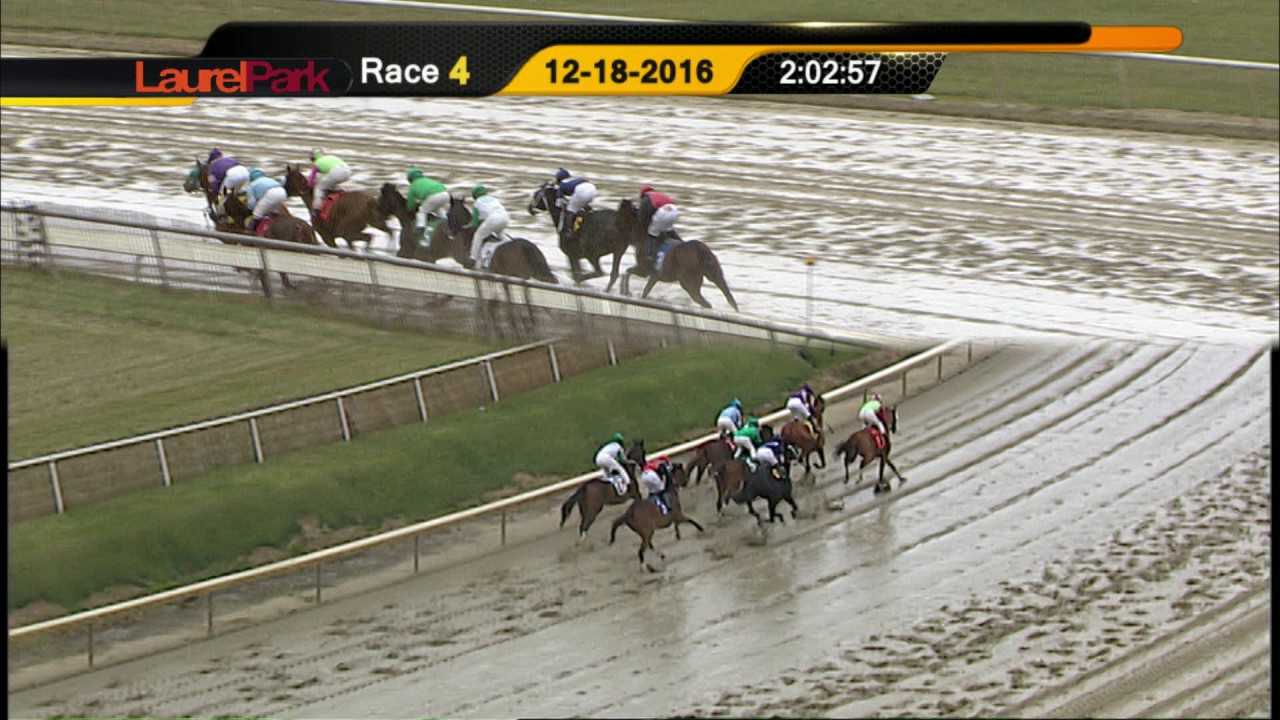 tvg laurel park