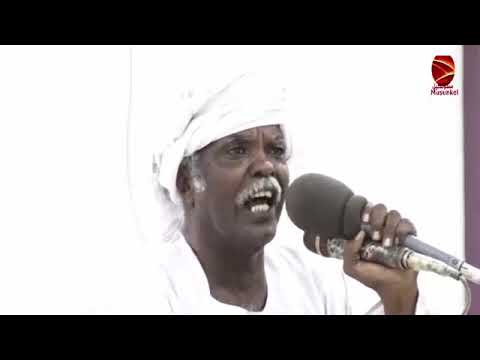 الشاعر العطا على العطا NEW2022 كلمات مؤثرة عن الوطن الجريح 