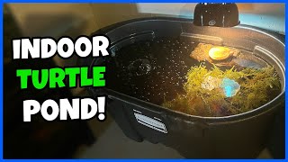 Setting Up 100 Gal. TURTLE POND! (POPOSOAP Pond Pump Review)