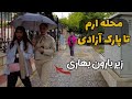 Walking rainy day in shiraz       