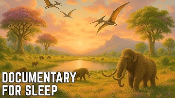 What Was Earth Like During the Cenozoic Era? | Documentary For Sleep
