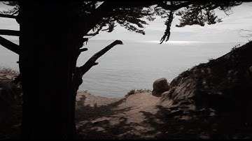 Peter Gilroy - The Coast (Official Visualizer)