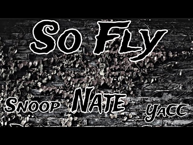 So Fly(feat YaCC,Snoop Dogg) unreleased