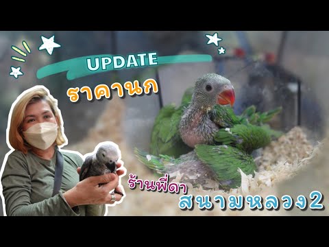Update!!! ราคานก ร้านพี่ดา สนามหลวง 2