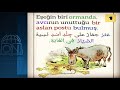 قصة الحمار في جلد الأسد قصص تركية مترجمة من مدرسة On Language Courses 