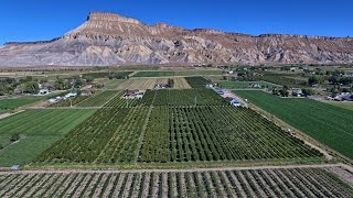 3525 G Road video tour