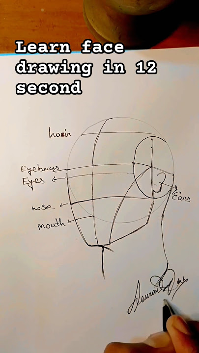 'Learn the Loomis Method: Draw Realistic Faces in a second!'