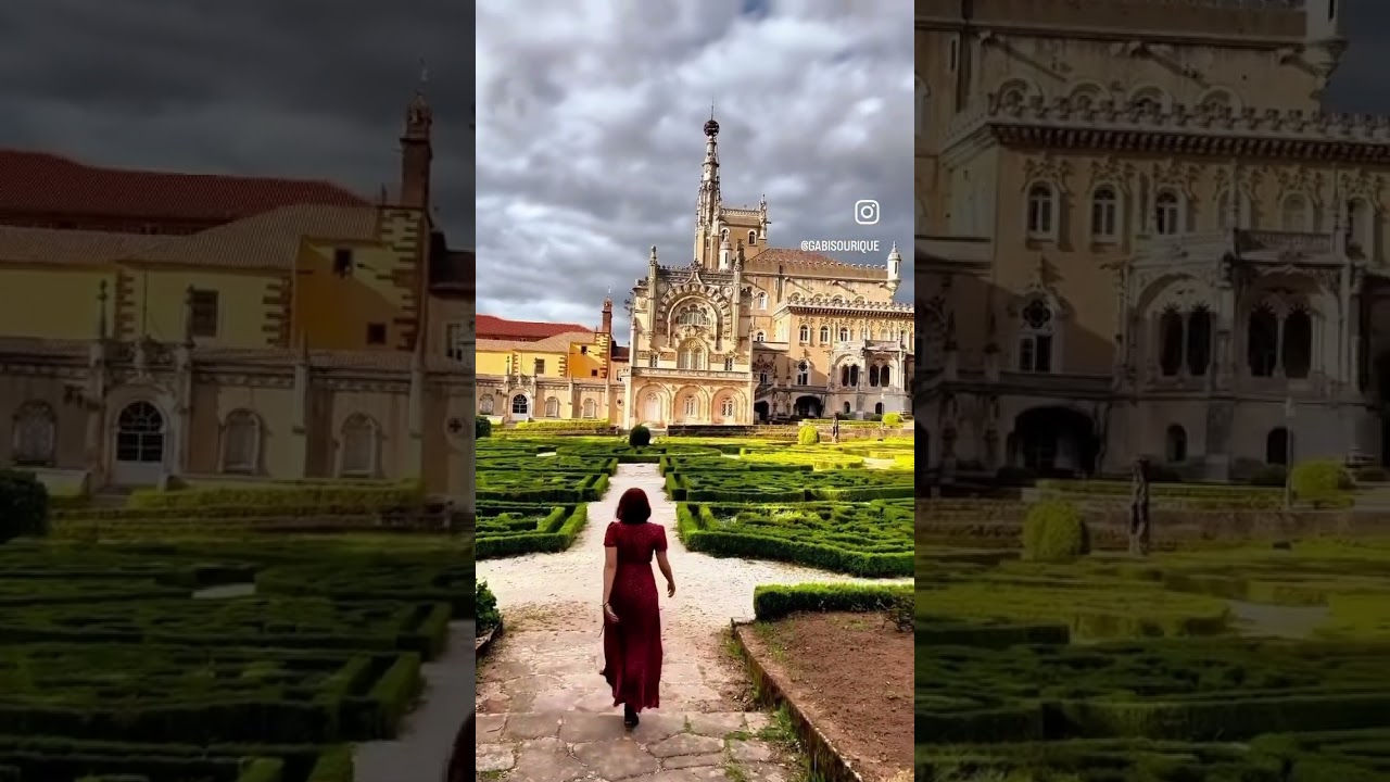 Um local incrível : Bussaco Palace Hotel 