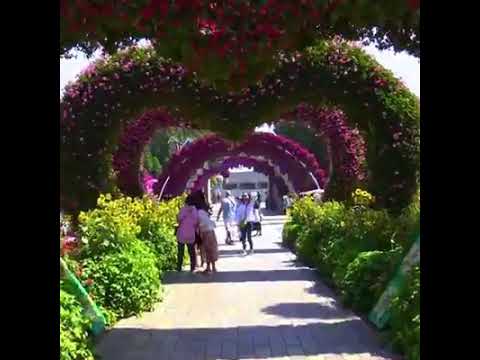 Dubai Miracle Garden/ABS ENTERTAINMENT