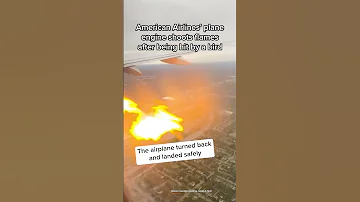 American Airlines Plane Engine Catches Fire After Bird Strike In Ohio 