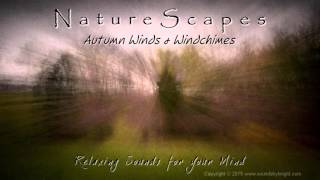 🎧 AUTUMN WINDS & WIND CHIMES - Soothing, Meditating Nature Sounds to help Relax, Unwind and Sleep by Sounds by Knight 6,559 views 8 years ago 1 hour, 10 minutes