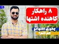 کاهش دادن اشتها هشت راهکار قطعی کاهنده اشتها نیما جهانی بوشهری متخصص تغذیه و رژیم درمانی کاهش دادن اشتها هشت راهکار قطعی کاهنده اشتها نیما جهانی بوشهری متخصص تغذیه و رژیم درمانی