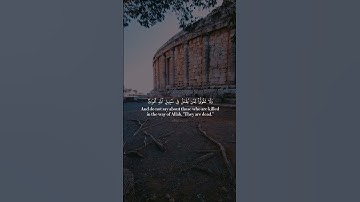 تلاوة خاشعة وعطرة تريح القلب والنفس للقارئ علاء عقل #fypシ #quran