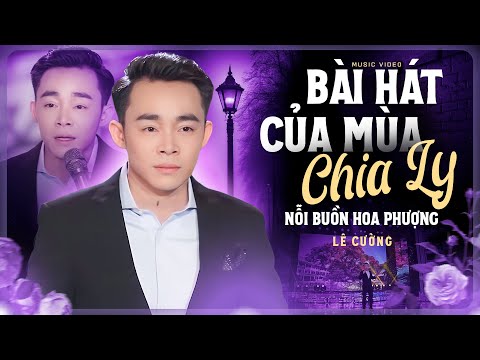 Nghe Cả Ngày Không Chán Với Tiếng Hát CHẤT CHỨA NỖI NIỀM Của Chàng Trai Này |Nỗi Buồn Hoa Phượng