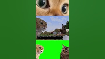 Recreating Minecraft Particles CatMeme Preaching Cat