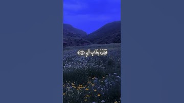 القارئ محمد اللحيدان{سورة الجاثية الآيه8}