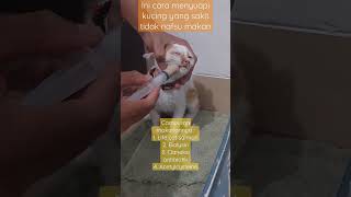 Kucing Sakit Gamau Makan, Solusinya Kepala Dijepit Sampai Mulut Terbuka, Campur Makanan Dgn Vitamin