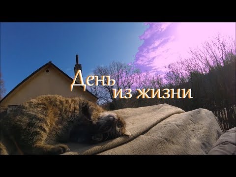 Деревенские будни. Переделка амбара в козлятник.. Ответы на различные игры в социальных сетях Деревенские будни. Переделка амбара в козлятник.. Ответы на различные игры в социальных сетях