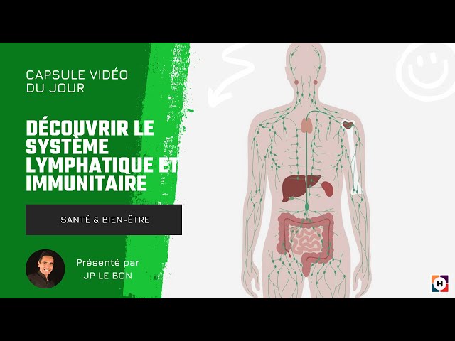 Découvrir le système lymphatique et immunitaire - JP LE BON