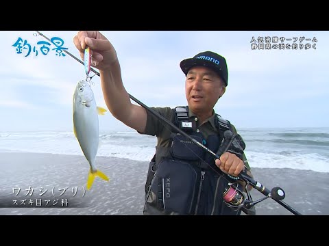 【釣り百景】#346 人気沸騰サーフゲーム 静岡県の浜を釣り歩く