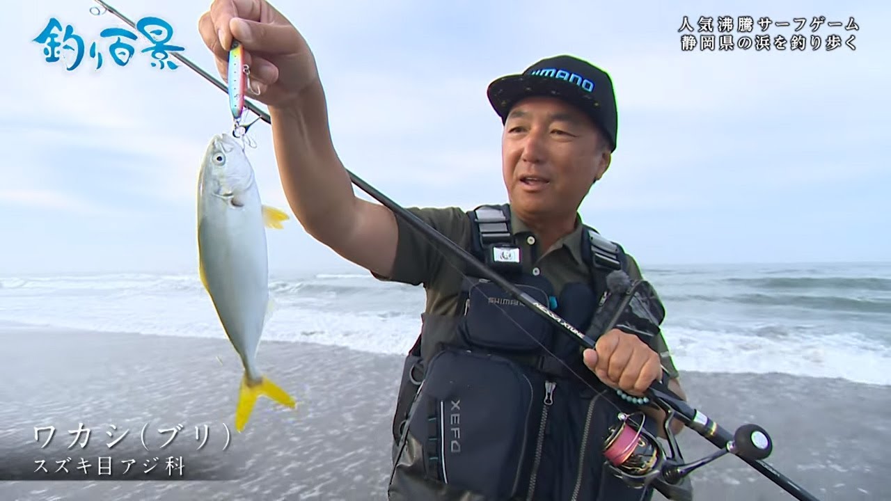 釣り百景 346 人気沸騰サーフゲーム 静岡県の浜を釣り歩く Youtube