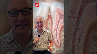 Tooth Enamel Could Grow Back With This Gel