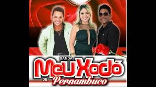 Literalmente oficial   Banda Meu Xodó de Pernambuco