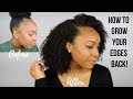 Why I Had Thin/Bald Edges & How I Grew My Edges Back! | Tips to Grow Fuller Edges FAST!!!