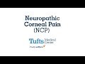 Drs. Pedram Hamrah, Anat Galor, and Gabriela Dieckman Discuss Neuropathic Corneal Pain