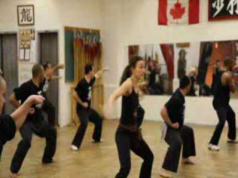 2009 Sil Lum Hung Gar Kung Fu Video