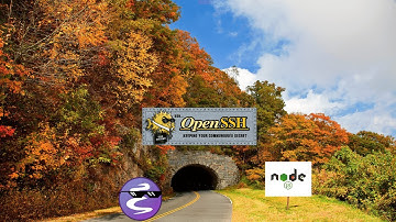 Debug nodeJS remotely with emacs and ssh