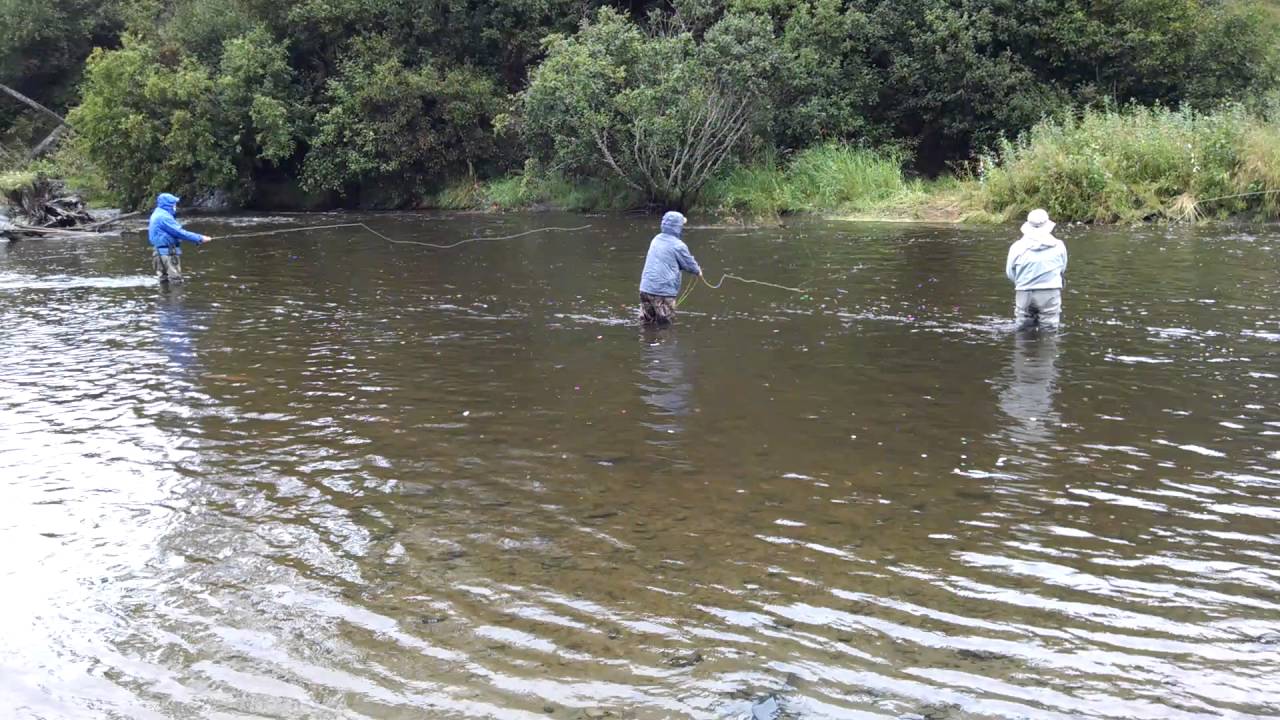 Anchor River 2016 Fly Fishing Silvers YouTube