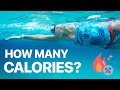 How Many Calories Do You Burn Swimming? 🔥