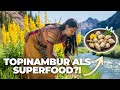 Dr. Switzer: Topinambur - Das vergessene Superfood der Ureinwohner