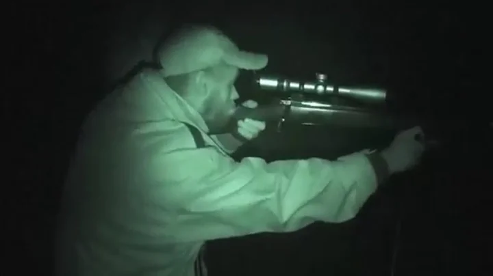 The Shooting Show - Irish triple bill with pigeon, fox and duck