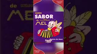 Momentos do Forró - Banda Sabor de Mel